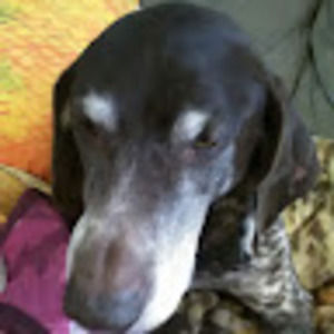 Meet your Posher, Skyla